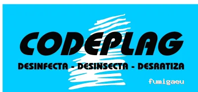 Codeplag