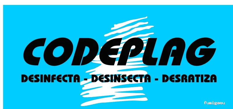 Codeplag
