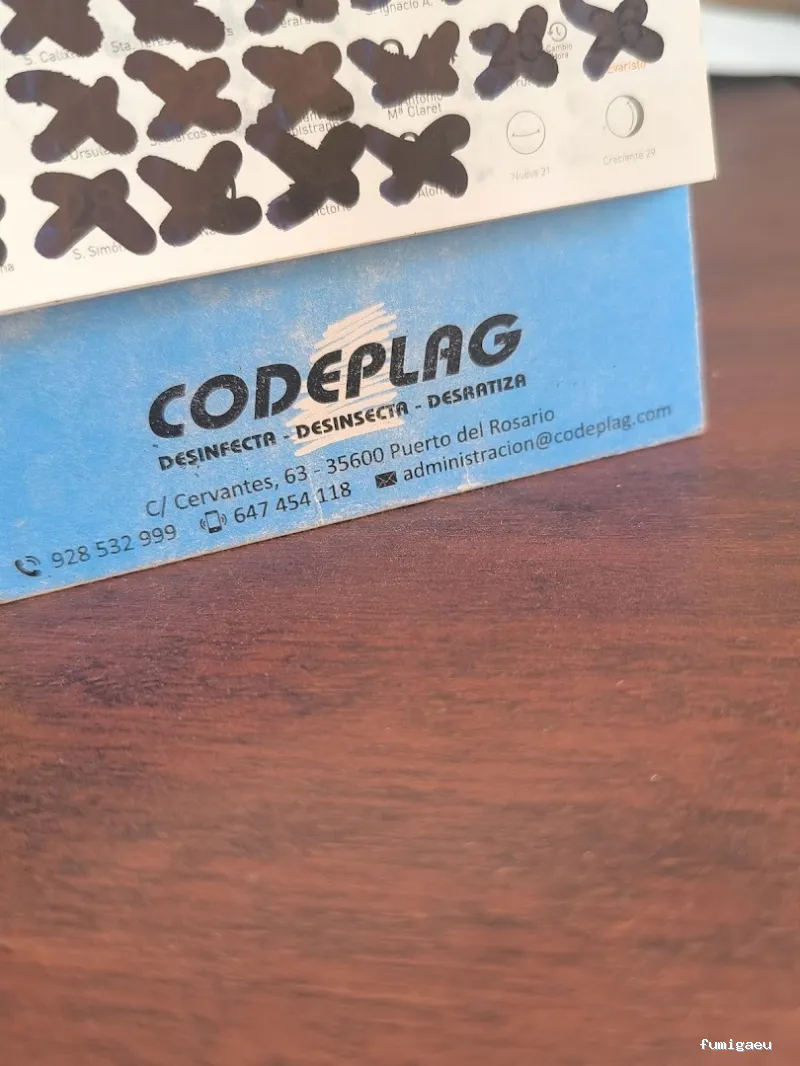 Codeplag