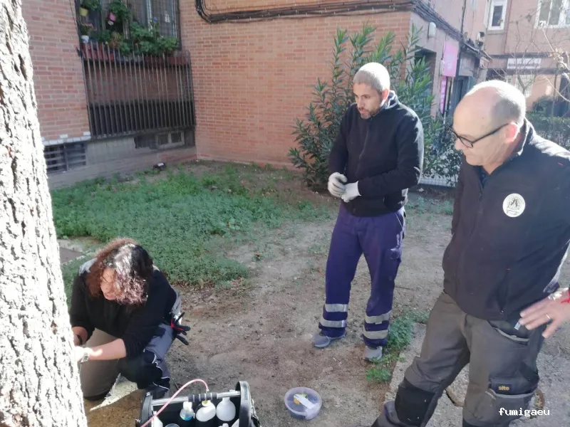 Vector3 Control de Plagas, S.L.