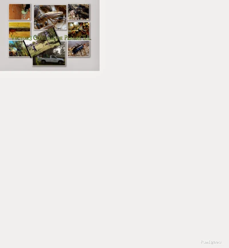 Vector3 Control de Plagas, S.L.