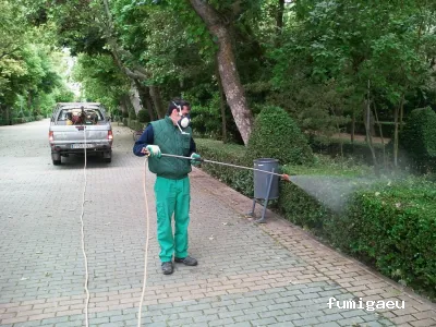 3 D Tratamientos Biosanitarios