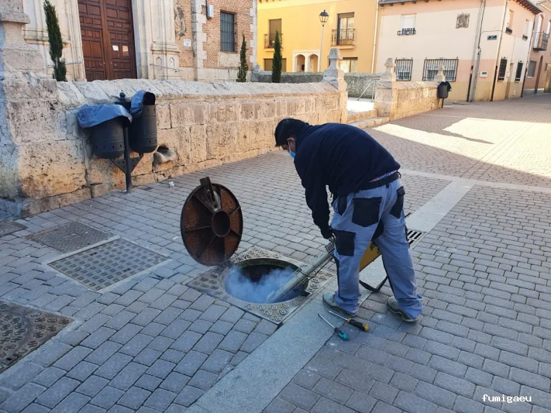 3 D Tratamientos Biosanitarios