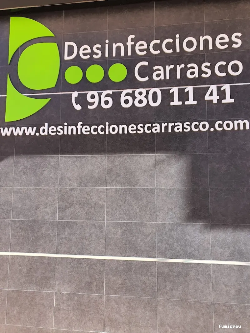 Desinfecciones Carrasco