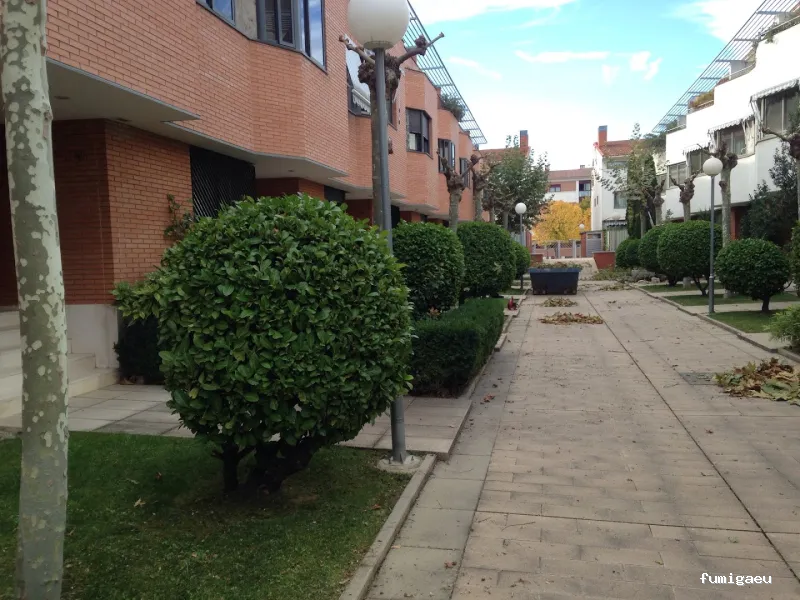 Limpiezas y Mantenimiento Albe