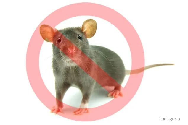 Laboratorios ASTURSA