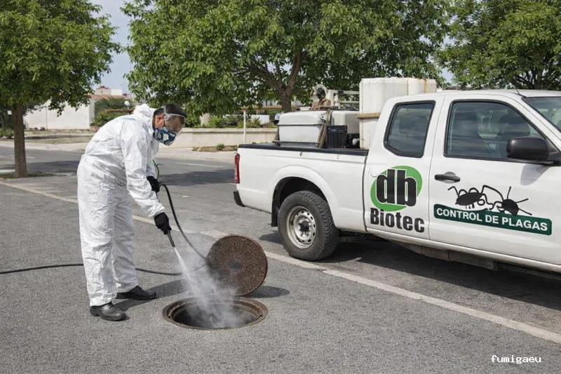 DESINSECTACIONES GRANADA