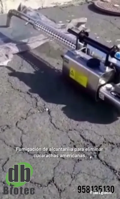 DESINSECTACIONES GRANADA