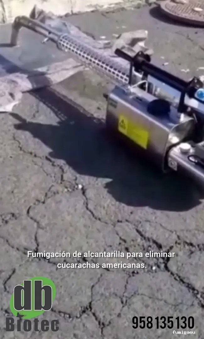 DESINSECTACIONES GRANADA