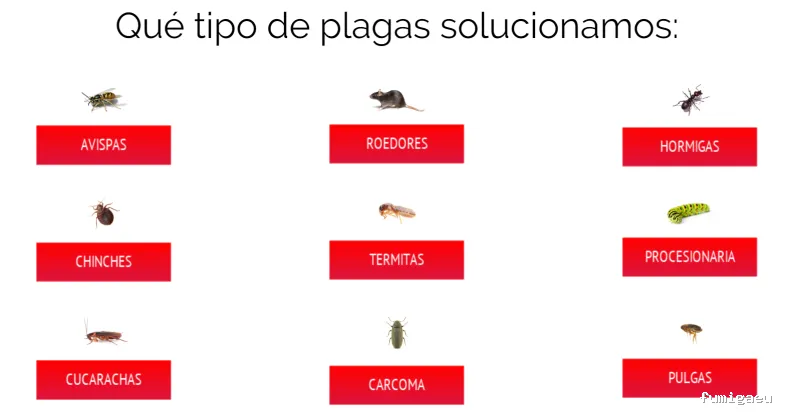 Tratamientos Control