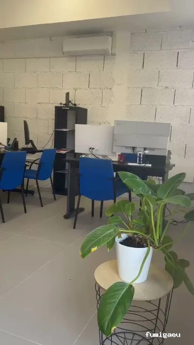 Control de Plagas - Teneplagas