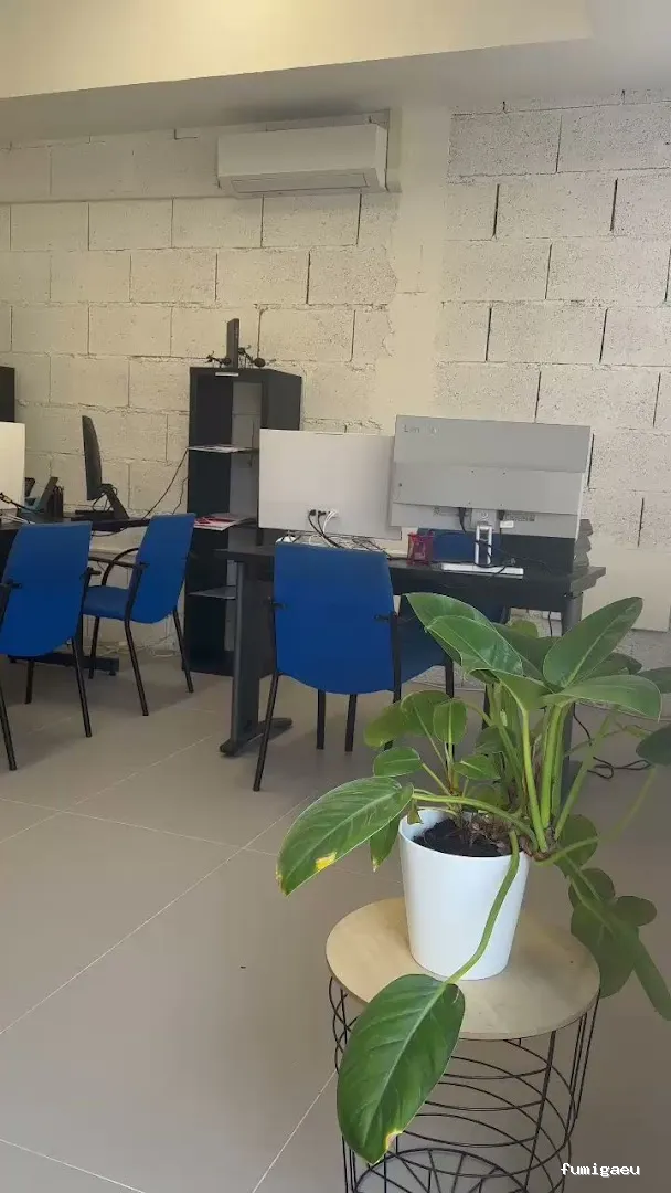 Control de Plagas - Teneplagas