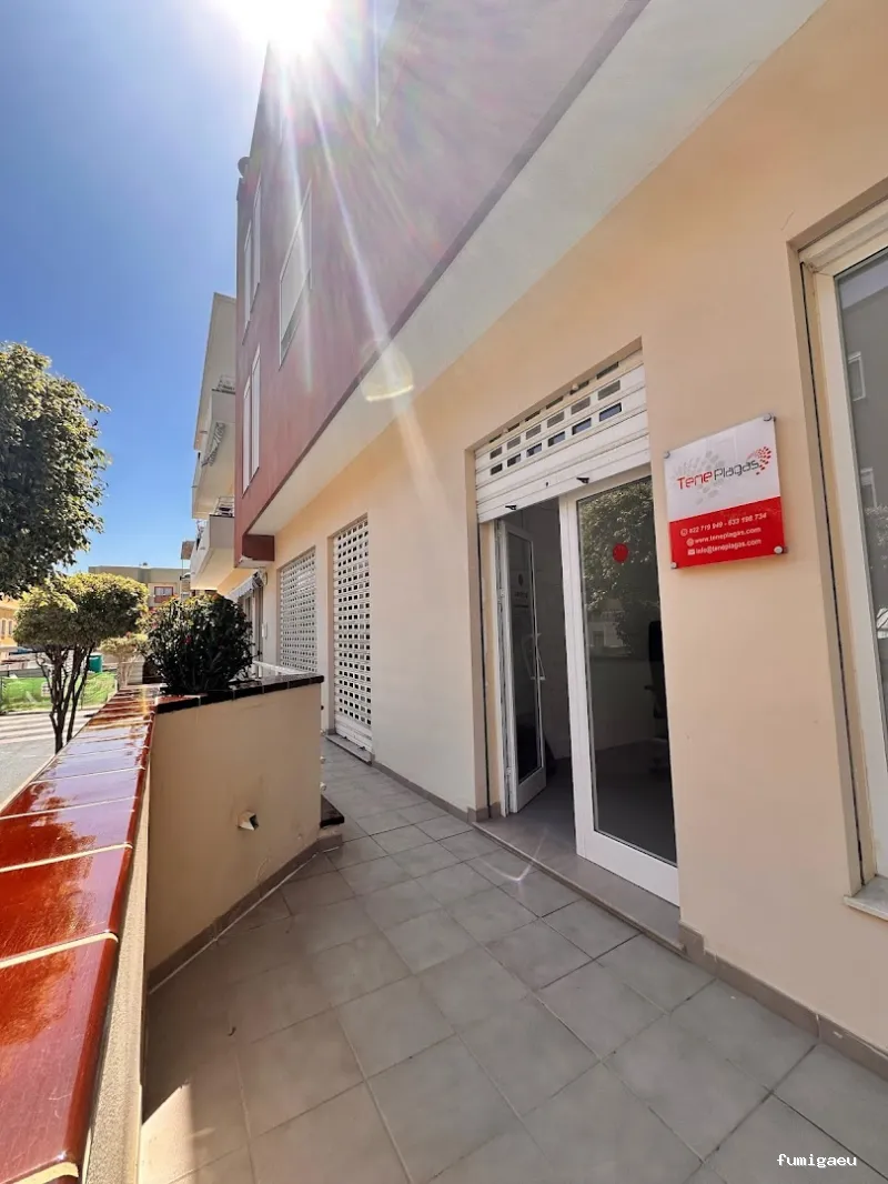 Control de Plagas - Teneplagas