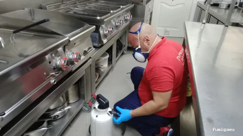 Control de Plagas - Teneplagas