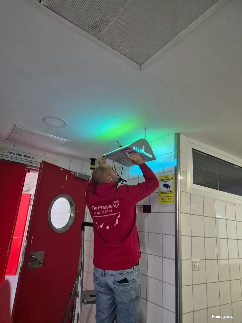 Control de Plagas - Teneplagas