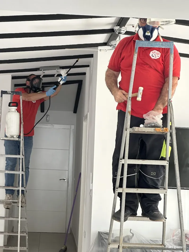 Control de Plagas - Teneplagas