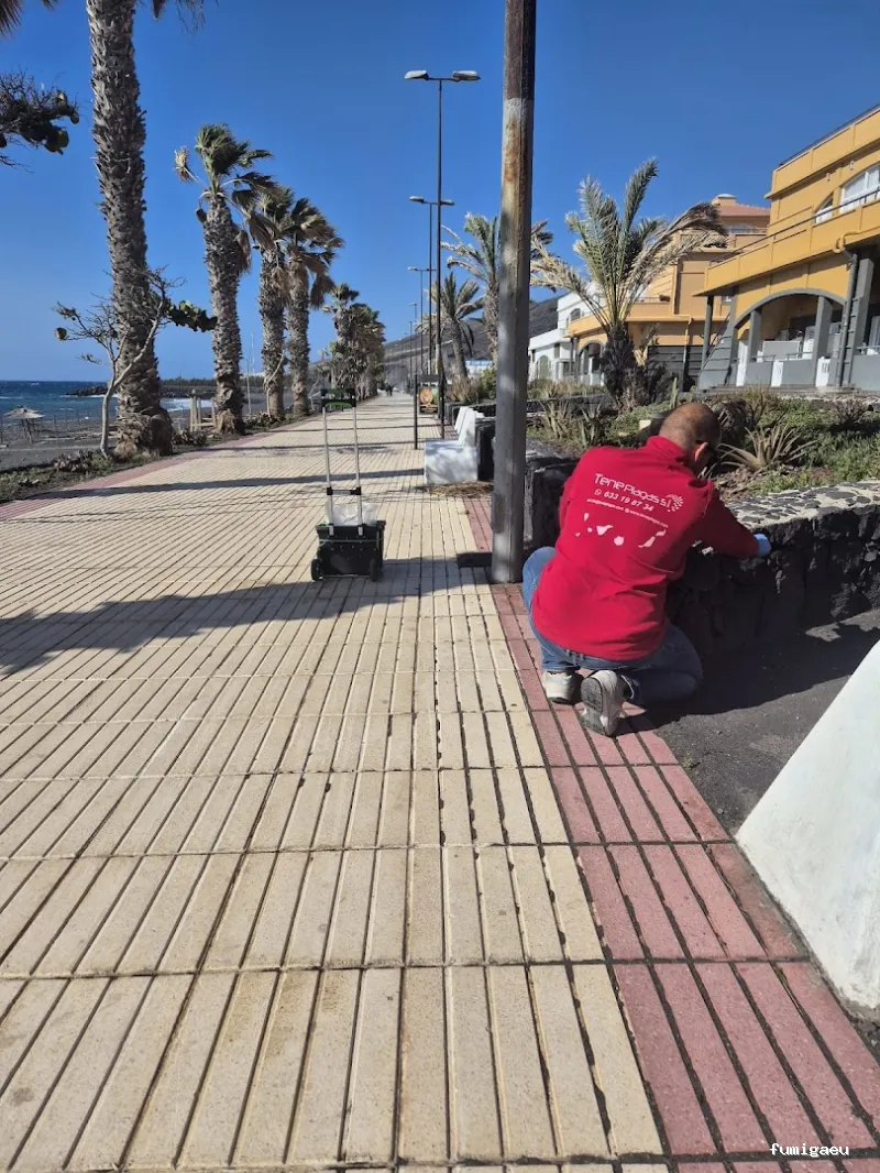 Control de Plagas - Teneplagas