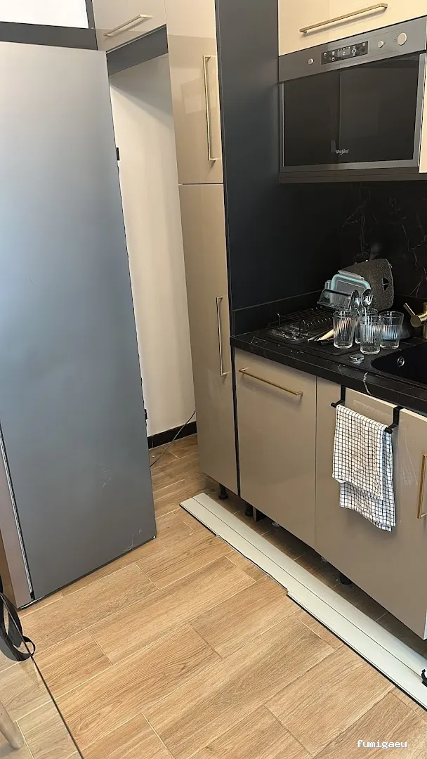 Control de Plagas - Teneplagas