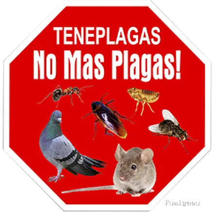 Control de Plagas - Teneplagas