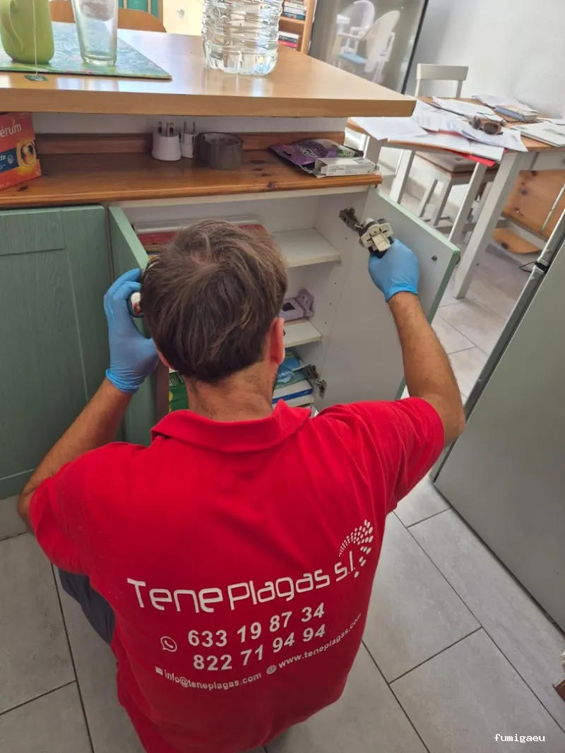 Control de Plagas - Teneplagas