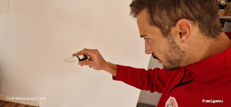 Control de Plagas - Teneplagas