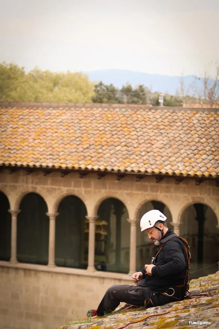 Fumigaciones CECA Centro Europeo de Control de Aves