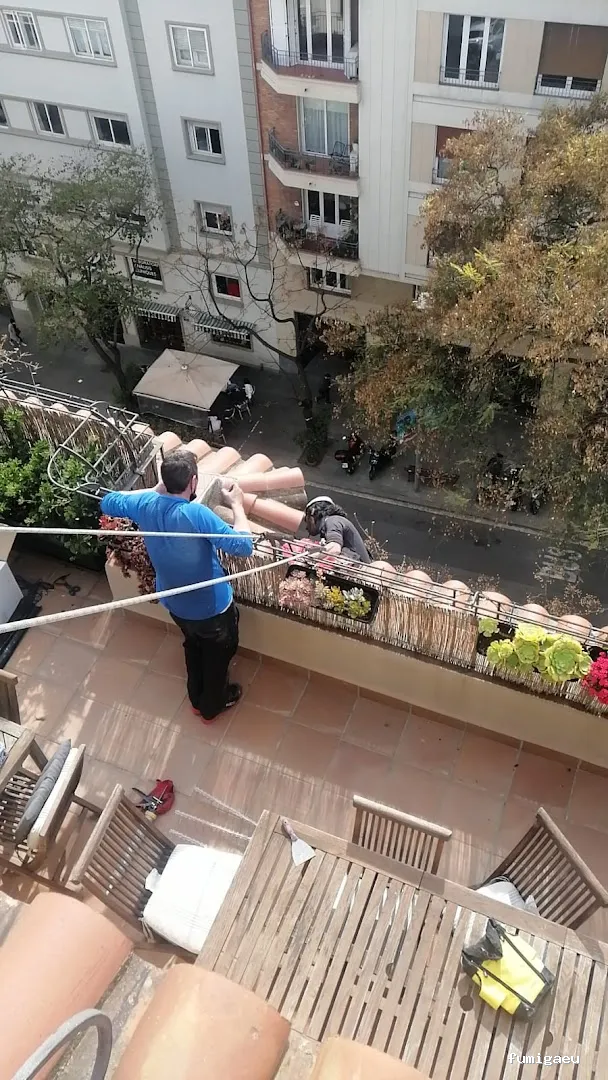 Fumigaciones CECA Centro Europeo de Control de Aves