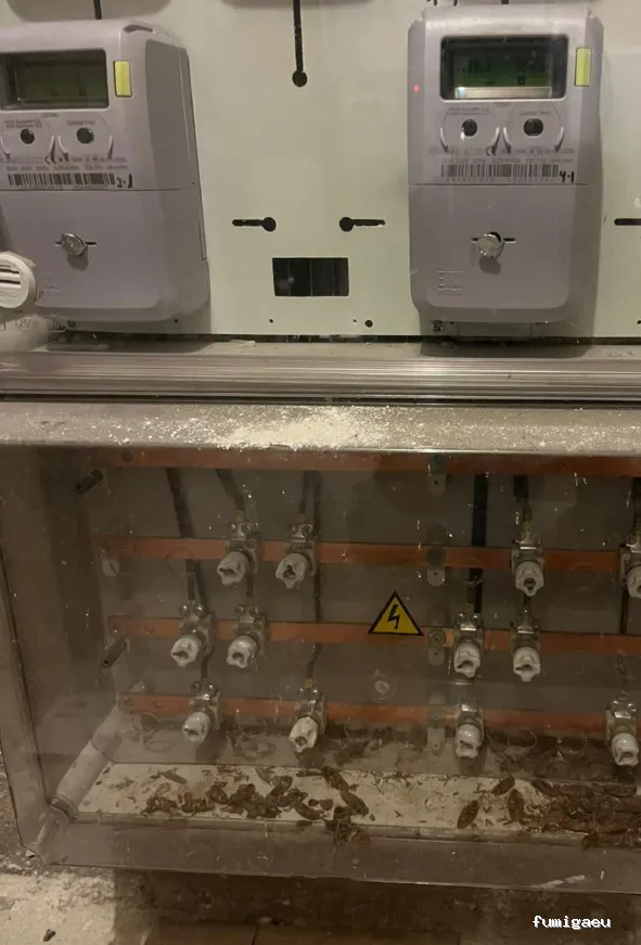 Fumigaciones CECA Centro Europeo de Control de Aves