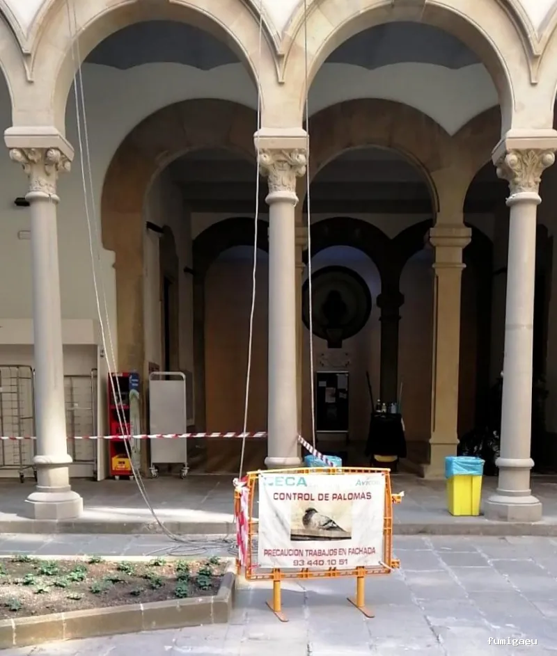 Fumigaciones CECA Centro Europeo de Control de Aves