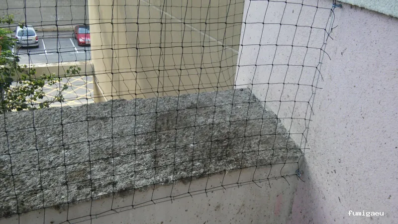 Fumigaciones CECA Centro Europeo de Control de Aves