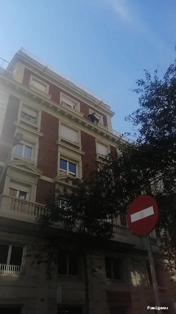 Fumigaciones CECA Centro Europeo de Control de Aves