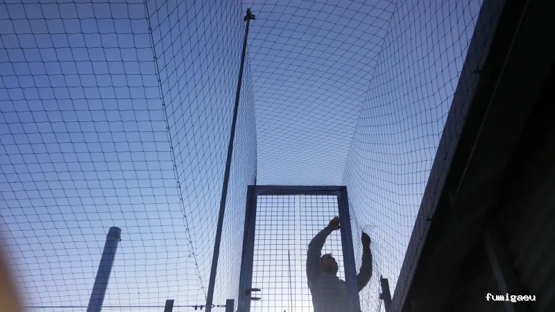 Fumigaciones CECA Centro Europeo de Control de Aves