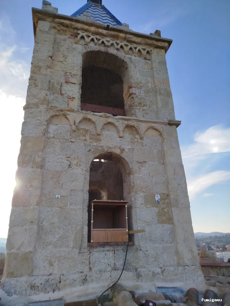 Fumigaciones CECA Centro Europeo de Control de Aves
