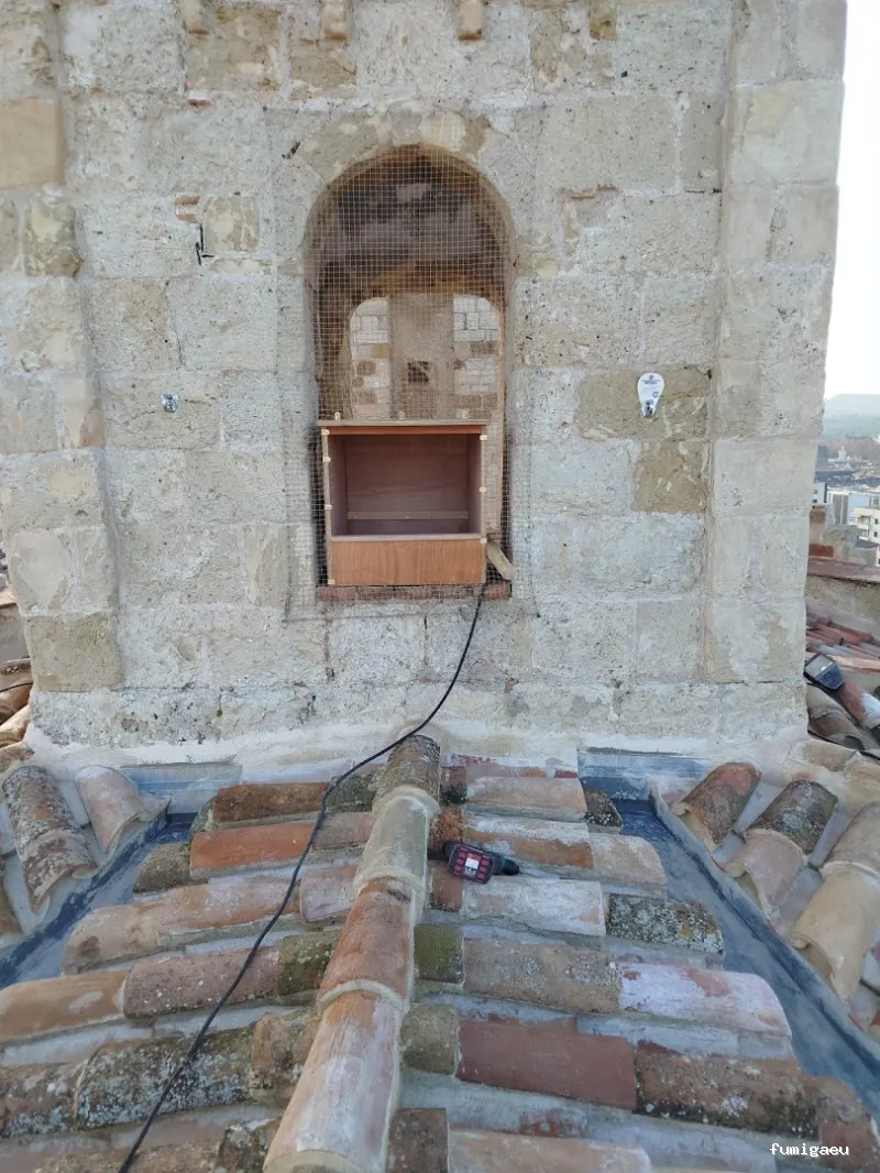 Fumigaciones CECA Centro Europeo de Control de Aves