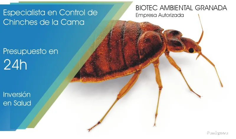 DESINFECCIONES BIOTEC GRANADA