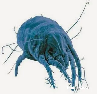 DESINFECCIONES BIOTEC GRANADA