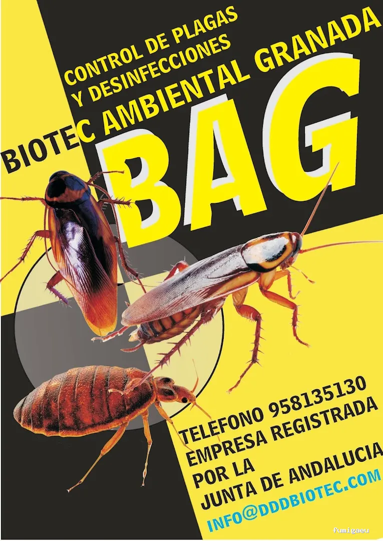 DESINFECCIONES BIOTEC GRANADA