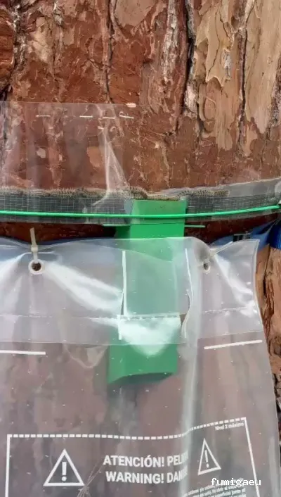 Sacer control de plagas