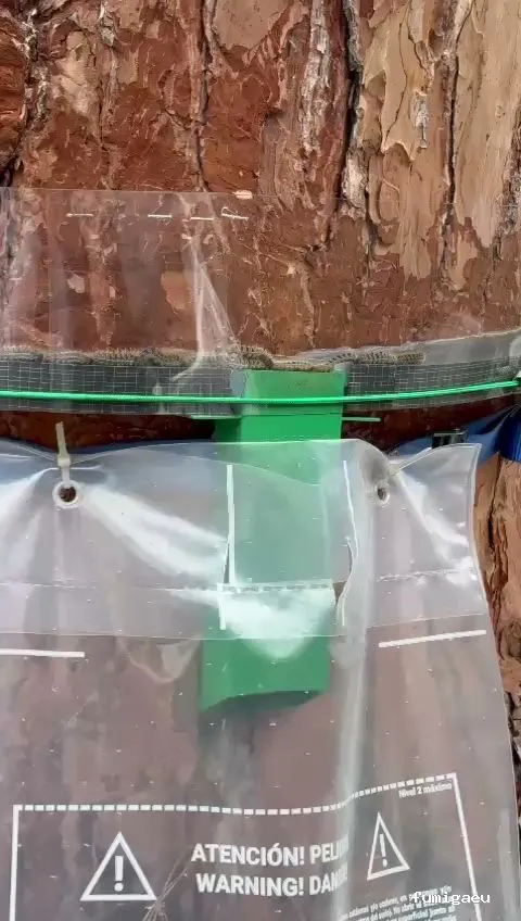 Sacer control de plagas