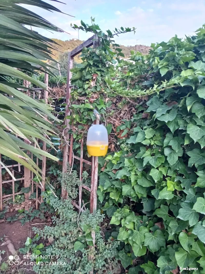 Sacer control de plagas