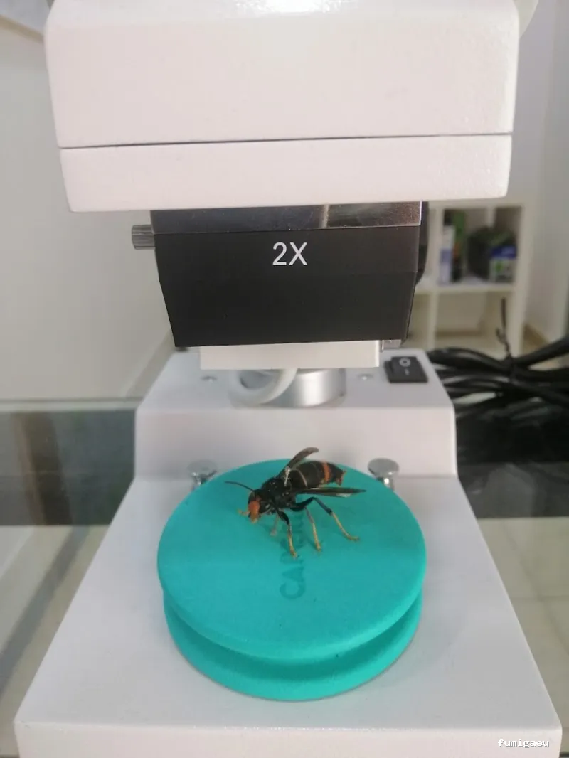 Sacer control de plagas