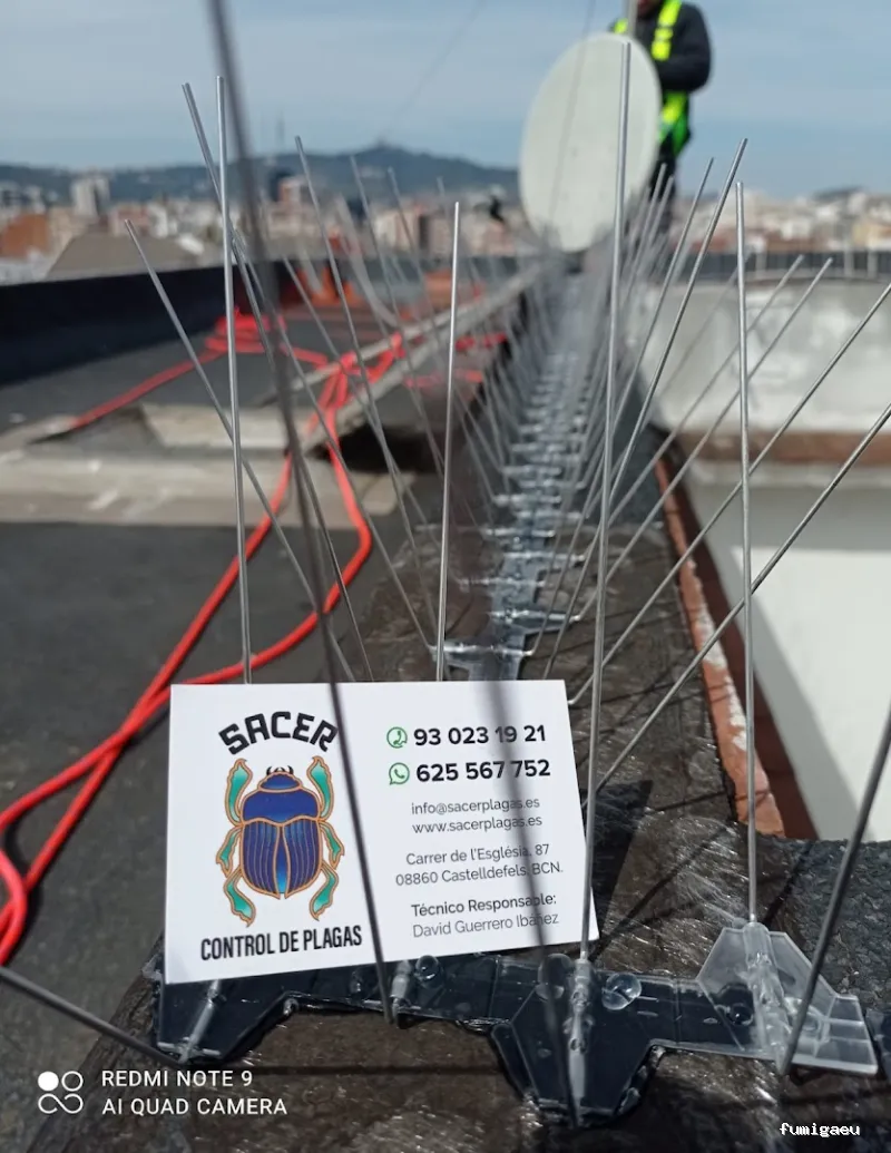 Sacer control de plagas