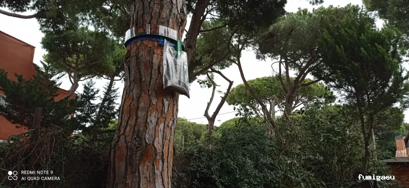 Sacer control de plagas