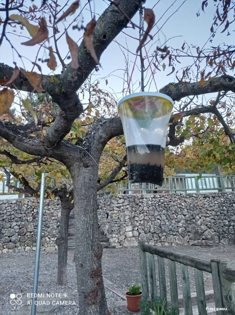 Sacer control de plagas