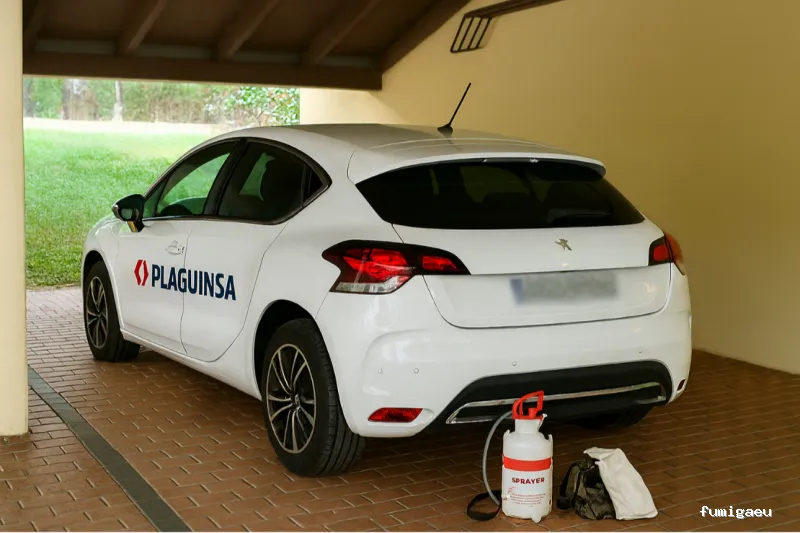 Plaguinsa | Tratamiento Termitas | Fumigación Cucarachas