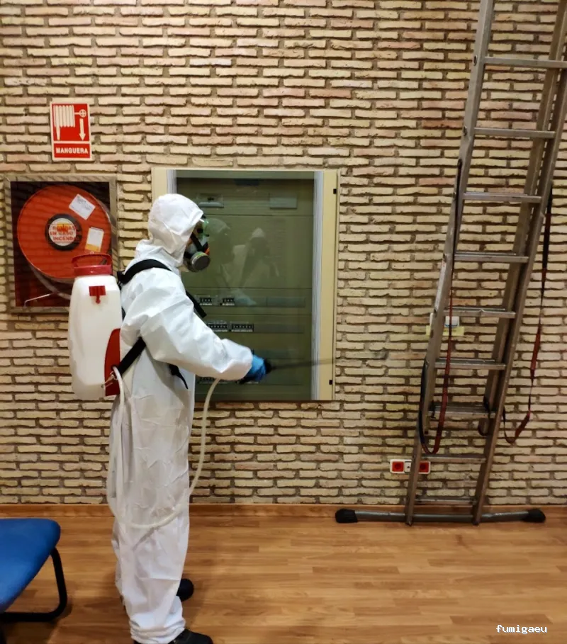 Plaguinsa | Tratamiento Termitas | Fumigación Cucarachas