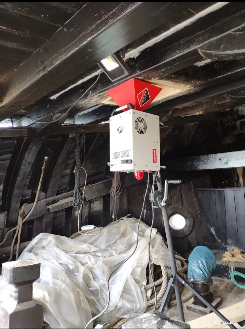 Plaguinsa | Tratamiento Termitas | Fumigación Cucarachas