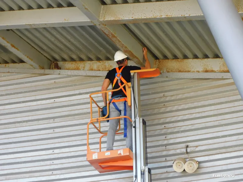 Plaguinsa | Tratamiento Termitas | Fumigación Cucarachas