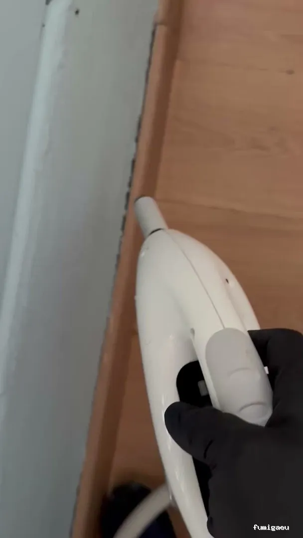 Plaguinsa | Tratamiento Termitas | Fumigación Cucarachas