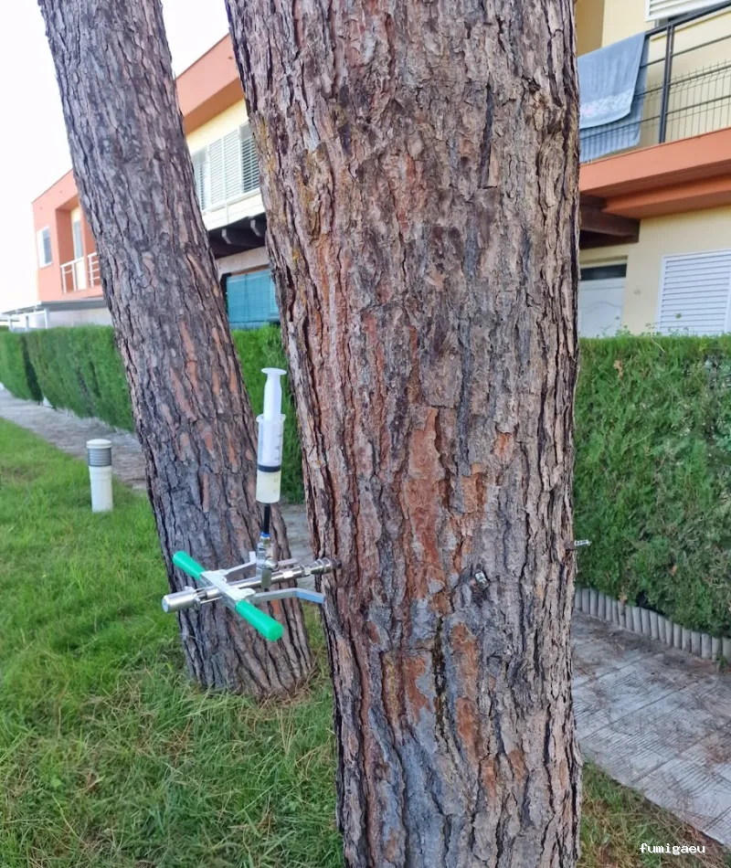 Plaguinsa | Tratamiento Termitas | Fumigación Cucarachas